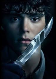 Matrix brothers, pearl merle is a favorite