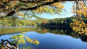 The eifel is part of the rhenish massif; Camping Eifel National Park Camping Spa D Or