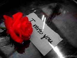 Check spelling or type a new query. Miss You Quotes And Flowers Quotesgram