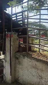 Vídeos de edwin rosero (@edwin.rosero57) con «sonido original