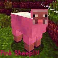 Pink Sheep Minecraft Amino