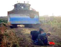 Image result for RACHEL CORRIE-GÖRSELLER