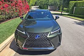 Image result for Nori Green 2019 UX