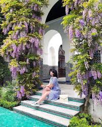 Plus grand lieu de culte musulman français, inauguré en 1926. Wisteria At The Grand Mosque Of Paris Meetmeinparee On Instagram Grandmosqueofparis Paristravel Paris Hiddenpa Mosquee De Paris Mosquee La Grande Mosquee