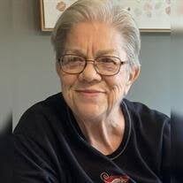 Diana Bollinger's Instagram, Twitter & Facebook