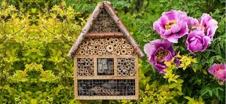 We did not find results for: Tips For Planting A Bee Garden At Your Home