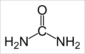 What Is Urea What Is All Chemistry Chemical Structure Medical Supplies