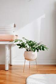 We've got our top picks including tall stands, ones for multiple plants, and a white planter like this one lets the beauty of your plants remain the spotlight. 30 Best Indoor Plant Stands For Displaying Your Plants In 2021