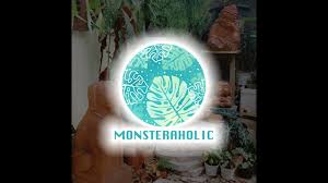 Image result for Sladeniaceae