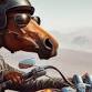 The Trot and Throttle Run — HighRoad Riders