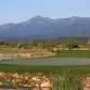 Rainmakers Golf Tourney