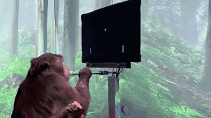 Please comment & share if you like it! Watch A Monkey Equipped With Elon Musk S Neuralink Device Play Pong With Its Brain