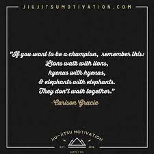Pin On Jiu Jitsu