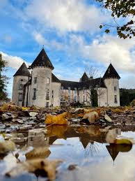 Florent Pagny đã đến thăm chúng tôi ⭐️ Khiêm tốn, tài năng, dễ gần nhưng cũng vô cùng đam mê xe máy cổ, Florent Pagny đã đến khám phá bảo tàng Château de Savigny-lès-Beaune. Bản thân ông cũng là một nhà sưu tập xe máy,