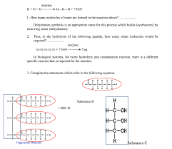 So, water's molecular composition is of course h 2 o. Enzyme G G G G Gg H2o 1 How Many Molecules Of Chegg Com