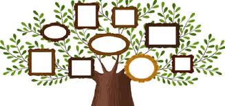 كيف يمكنك البحث عن شجرة العائلة بالرقم القومي؟