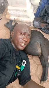 Akinjayeju Olurotimi Oluwadamilola what's my business in ds nah *I Will  Neva Forgive The Person Who Invented D0ggy 👉👌😭🥹 All My Waist Just Dey  Pàin Me Since…😔😎 Which Kind Wahala Be Dis…*