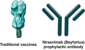 Image result for Nirsevimab