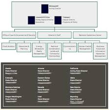 about us blm org chart box bureau of land management