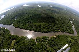 Negara lain yang juga memiliki hutan bakau luas, yaitu brazil (1,3 juta hektar), nigeria (1,1 juta hektar) dan australia (0,97 hektar). Ekonomi Lingkungan Pilih Mangrove Atau Tambak Mongabay Co Id