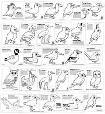 Crop produces pigeons milk to feed young Pick From 100 Birdorable Coloring Pages With Cute Birds