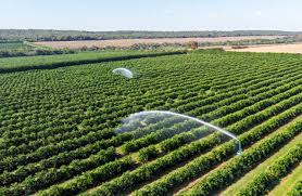 Coffee machine brands australian cattle farmer. Top 6 Strategies To Fortify Large Farm Management And Magnify Productivity Agriculture Post