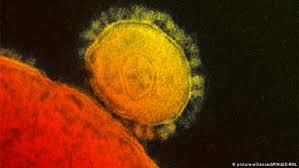 Move to the previous cue. What Does 5g Have To Do With Coronavirus Where Did It Come From Your Questions Answered Science In Depth Reporting On Science And Technology Dw 15 04 2020