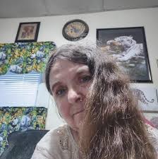 Why is my Himalayan cat not using the litter box?