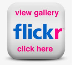 300 x 300 · jpeg. Official Flickr Logo Icon Instagram Flickr Transparent Png 400x353 Free Download On Nicepng