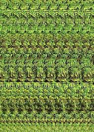 Pin By Mihriban Budak On Stereokartinki Magic Eye Pictures Magic Eyes Hidden 3d Images