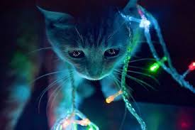 41 wallpaper keren yang akan mempercantik smartphone kamu. Wow 28 Wallpaper Keren 3d Daftar Wallpaper Kartun Doraemon Bersama Nobita Sahabatnya Terlengkap Dari Berbagai Cat Background Cute Cat Memes Orange Tabby Cats