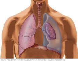 A persistent cough could be a symptom of lung cancer or head and neck cancer. Odtsxbq6ur 0am