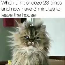 Like Like Like Like Like Funny Yoga Memes Yoga Funny Funny Pictures