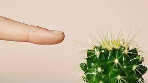 'pins and needles' are a sensation of uncomfortable tingling or prickling, usually felt in the arms, legs, hands or feet. Microneedling Hurts Like Crazy But I Can T Wait To Do It Again Allure