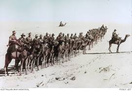 Saudi arabia has issued its strongest warning so far over the possible connection between camels and a virus that has killed more than one hundred people in the country. The Imperial Camel Corps Australian War Memorial