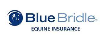 Blue bridle insurance agency inc can be found at county road 513 674. Blue Horse Park Of New Jersey At Stone Tavern Inc Facebook