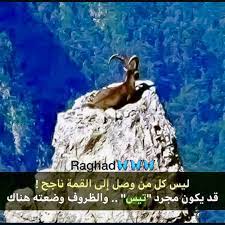 desertrose so true movie posters poster movies