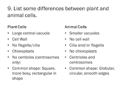 The similarities between the two have maintained themselves throughout history and the process of evolution because the circumstances each cell type faced were similar and needed similar tools. Cell Biology Study Guide Pages List The Four Six Characteristics Of Life A Composed Of Cells B Complex Organization Pattern C Use Energy D Have Ppt Download