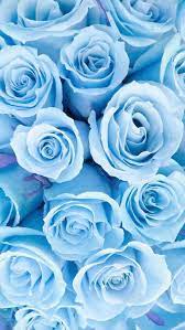 Girly Wallpapers For Iphone Xr Yet Gadgets In Rainbow Six Siege Off Cute Stitch Wallpapers For Ipho Blue Flower Wallpaper Flower Wallpaper Blue Roses Wallpaper