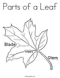 Pin On Learn It