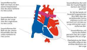 La soccer club is a soccer club consisting of an open team and several teams in the southern. Corience Persistierender Ductus Arteriosus