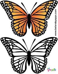 Black And White Stencil Butterfly Outline How To Make Glitter Butterfly From Plastic Bottles Belarabyapps Butterfly Drawing Butterfly Stencil Butterfly Printable