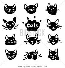 Maybe you would like to learn more about one of these? Cute Black White Cats Vector Photo Free Trial Bigstock