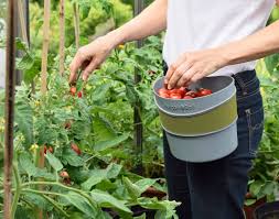Hip Trug National Garden Bureau In 2020 Garden Cooking Gardening Tips Garden Tools