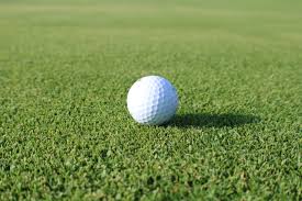 Image result for Paspalum