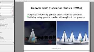Monthly Events H3abionet Pan African Bioinformatics Network For The Human Heredity And Health In Africa