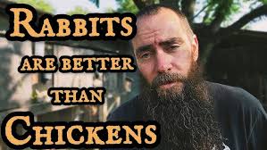 Meet the Kelmarna Chickens