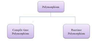 While languages like c++ and rust use monomorphized templates, the swift programming language makes extensive use of dynamic dispatch to build the application binary interface for these libraries by. Polymorphism In C Mycplus C And C Programming Resources