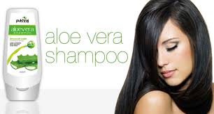 Aloe vera has many benefits for hair. Top Best Aloe Vera Shampoos In Indian Market Beauty Health Tips