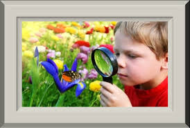 STILLINGTON PRIMARY SCHOOL BULLETIN